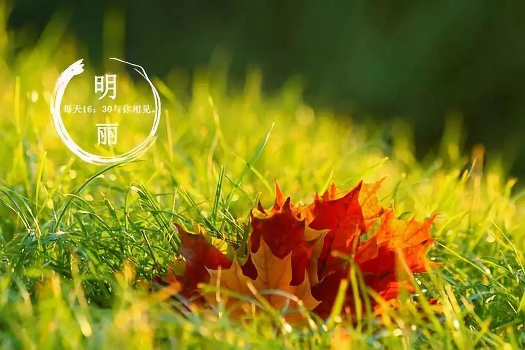 出轨的表现有哪些 出轨的表现有哪些