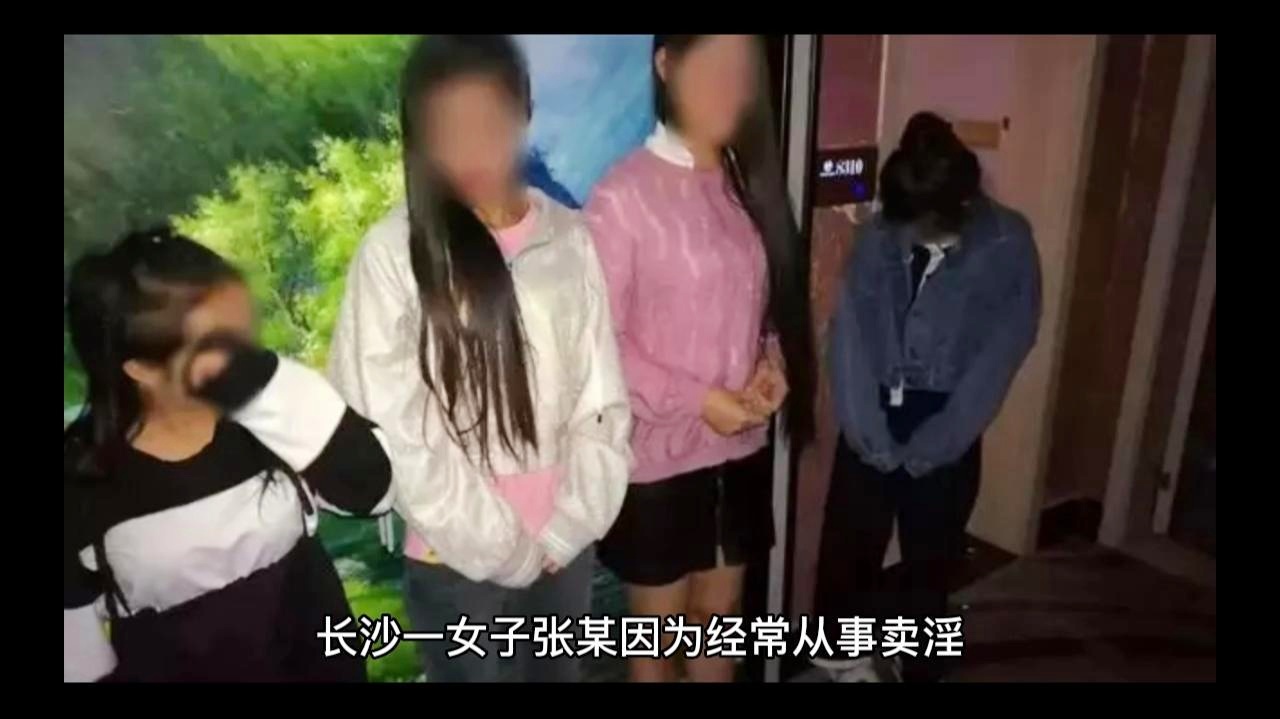 南阳私家调查 南阳私家调查