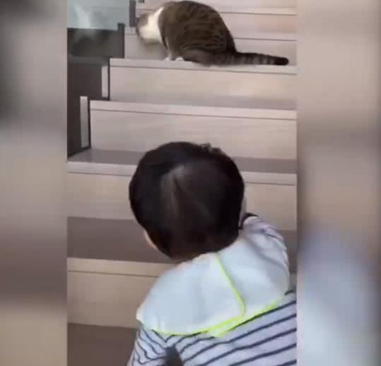 父母离婚孩子心理怎么疏导 父母离婚孩子心理怎么疏导