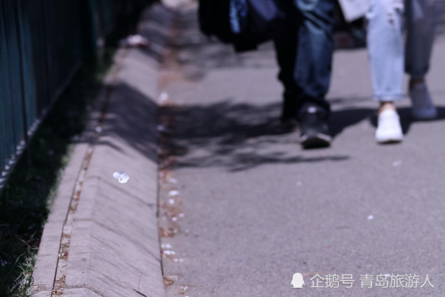 深圳调查公司那家好 深圳调查公司那家好