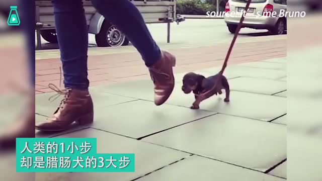 山东婚姻出轨调查 山东婚姻出轨调查