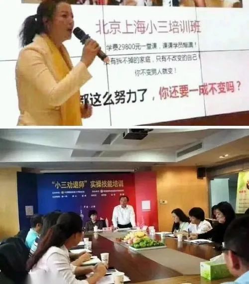 浙江侦探社 浙江侦探社