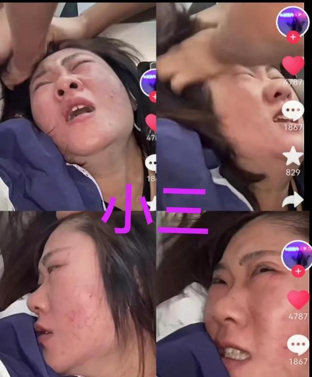 嘉兴私家调查 嘉兴私家调查